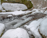 Winter Woodland Scenes